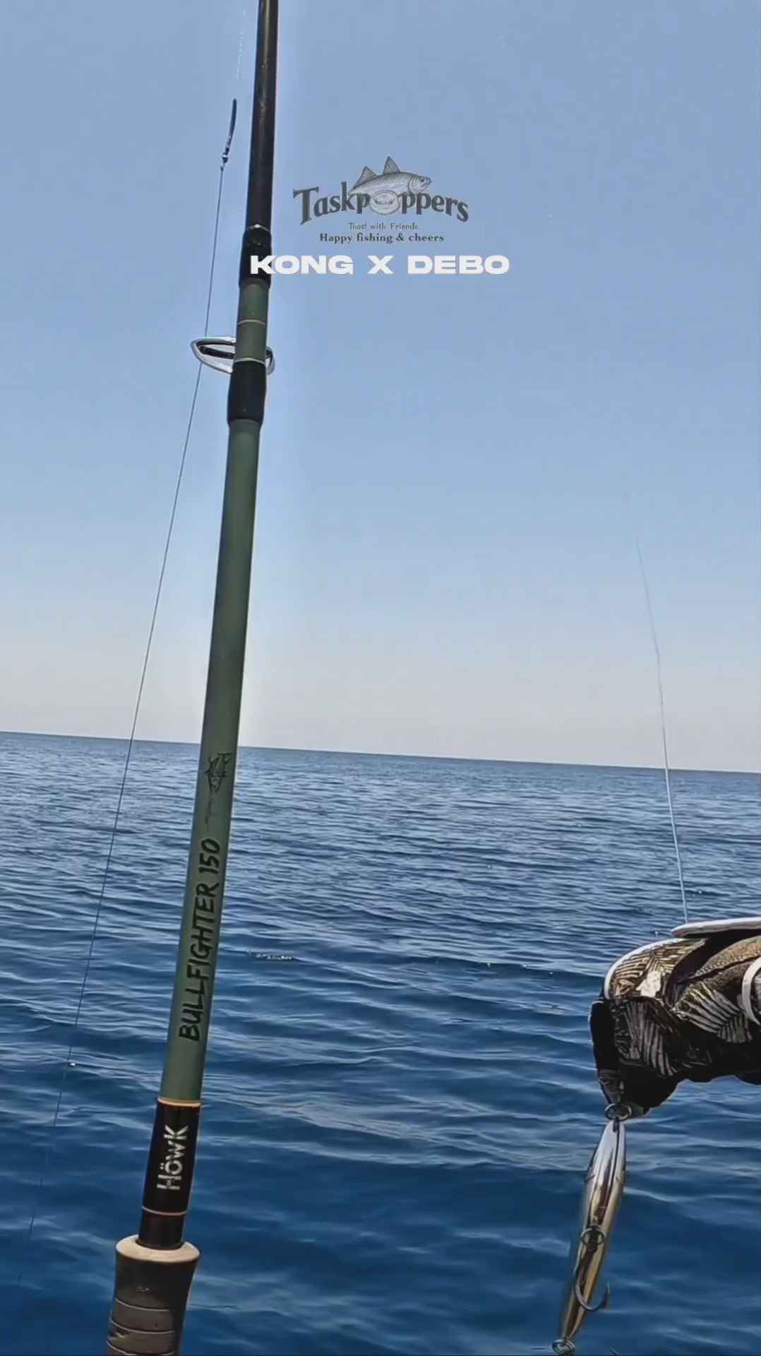 Load video: 
